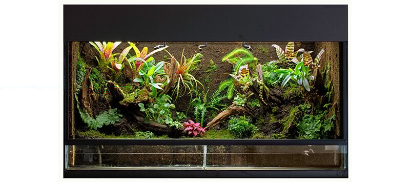 Living Terreria
